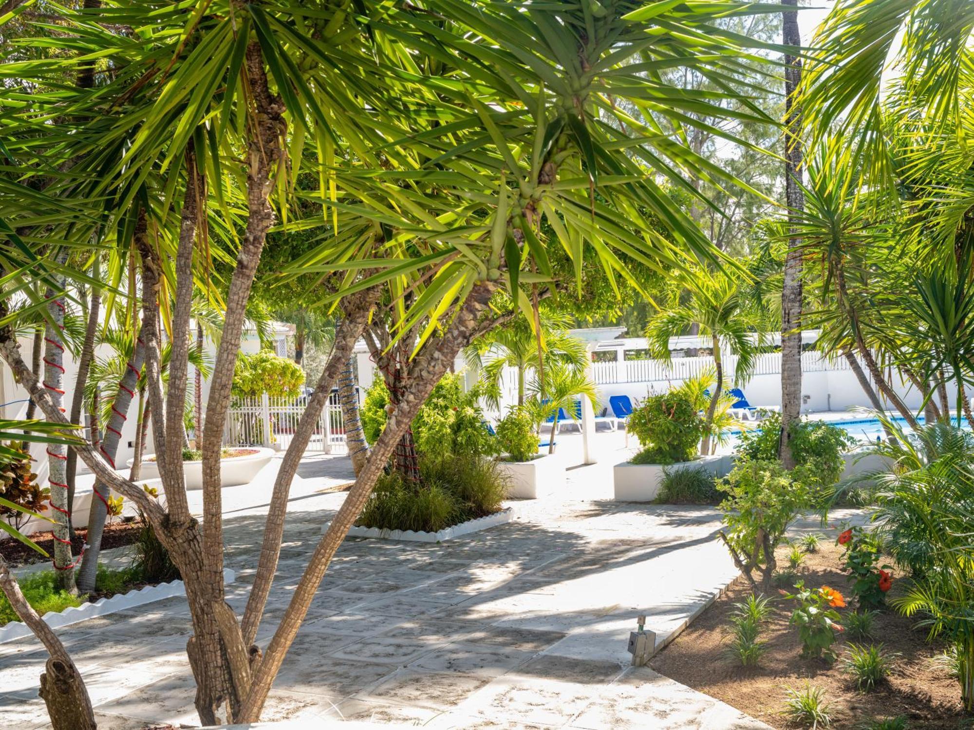 Paradise Island Beach Club Ocean View Villas Creek Village ภายนอก รูปภาพ