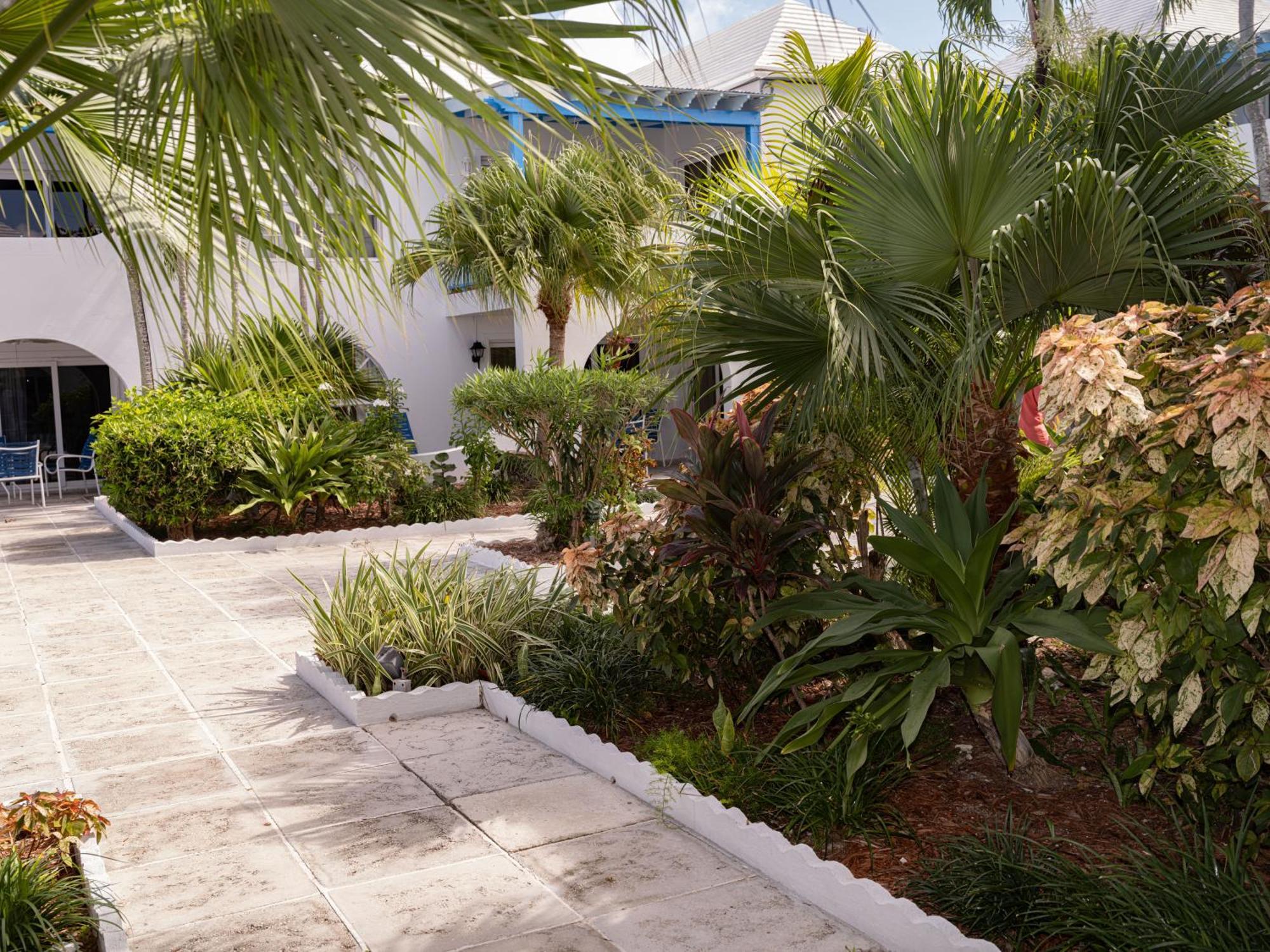Paradise Island Beach Club Ocean View Villas Creek Village ภายนอก รูปภาพ
