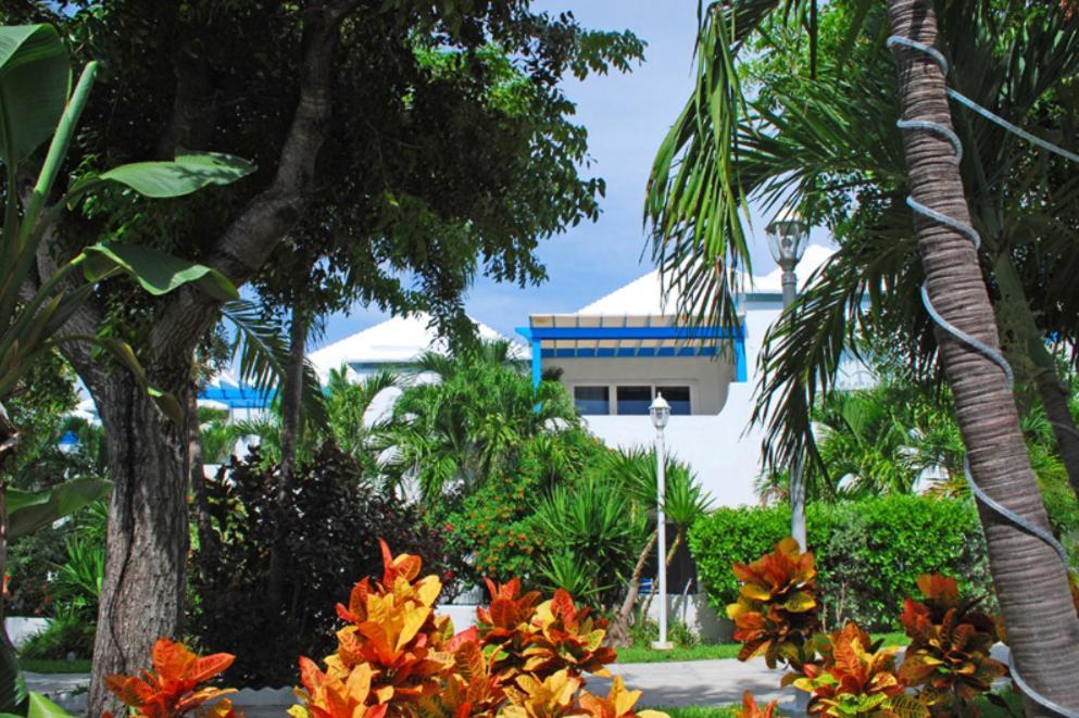 Paradise Island Beach Club Ocean View Villas Creek Village ภายนอก รูปภาพ